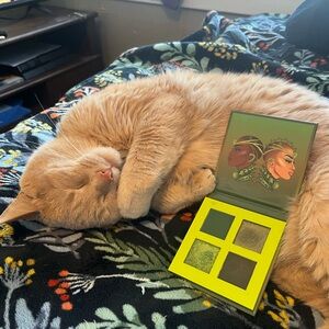 Juvia’s Place The Rebel Army Palette